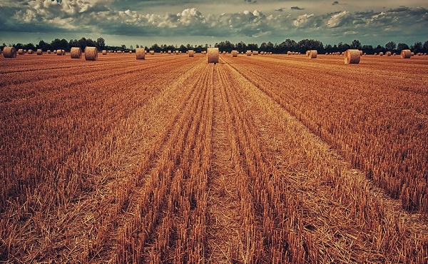 Agricultural SRT priced